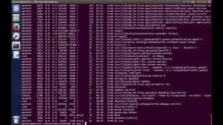 22 Essential Linux Commands su PATH PIPING cat ps bg jobs [upl. by Nagirrek]