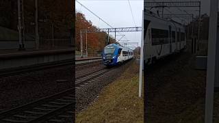 EN98003 POLREGIO Iława Miasto Wiek Poj10l2014r Rel IławaMalbork [upl. by Ahsikyw]