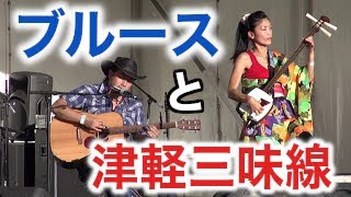 ブルースギター＆津軽三味線オーストラリアの音楽祭でジョージampのりこ Blues amp Shamisen  George amp Noriko at Port Fairy Music festival [upl. by Nalepka]