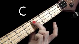 Learn Bass Guitar  Scales amp Chord Tones  part 1 [upl. by Salot]