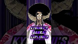 Kyoraku Shunsuis Bankai Explained  bleach [upl. by Allisurd174]