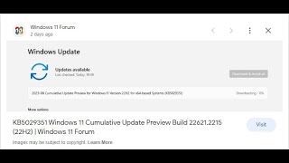 2023 08 Cumulative Update Preview for Windows 11 Version 22H2 for x64 based Systems KB5029351 [upl. by Adivad]