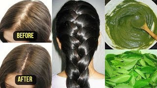 Secret Tricks to Stop Hair Loss in 4 Natural Ways and Regrow Hair for Men amp Women [upl. by Marta]