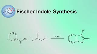 Fischer Indole Synthesis Mechanism  Organic Chemistry [upl. by Aikit387]