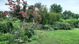 August Full Garden Tour  Ricks Garden Diary  2024 [upl. by Llet]