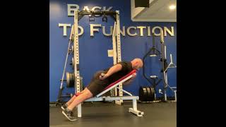 Incline Bench Dumbell Pullback [upl. by Olihs930]