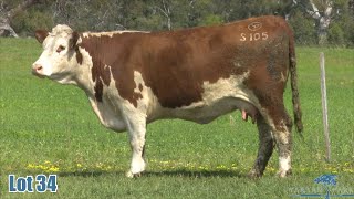 Lot 34 Yarram Audry S105 [upl. by Wendelin483]