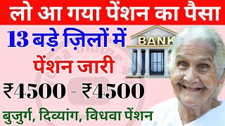 13 बड़े जिलों में पेंशन जारी  देखे अपने जिले का नाम pension kab aaegi  pension news  today news [upl. by Bostow]