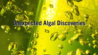 Unexpected Algal Discoveries [upl. by Calvina756]