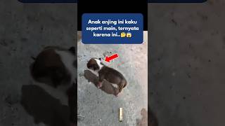 Anak Anjing yang Kaku [upl. by Waldo]