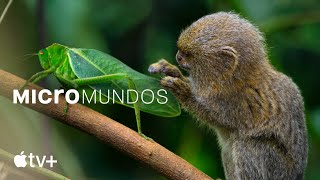 Micromundos — Tráiler oficial  Apple TV [upl. by Faydra]