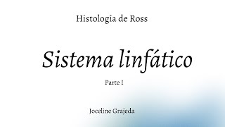 Sistema linfático  Parte I  Histología de Ross [upl. by Scornik141]