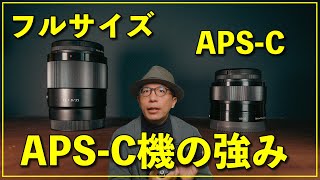 【カメラ初心者】APSC機でフルサイズのレンズを使うメリット [upl. by Shelley326]