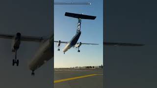 FlyJsim Dash 8 Landing xplane12 [upl. by Akihsay698]