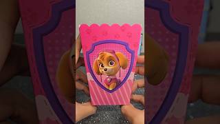 Paw Patrol Skye Mystery Box 2 pawpatrol surprise asmrtoys unboxingtoys toy toys cutetoys [upl. by Assyli]