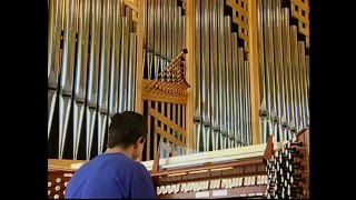 Pipe Organ2002 [upl. by Olnek]