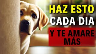 Cuál es el SECRETO para HACER que tu Perro Te AME Más [upl. by Onnem273]