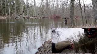 Steelhead Fishing Spring 2017 West Michigan on a Centerpin [upl. by Anas]