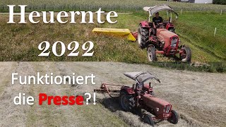 86 Heuernte 2022  Güldner G45  Allgaier AP22  IHC 744 OIM [upl. by Eimmak]