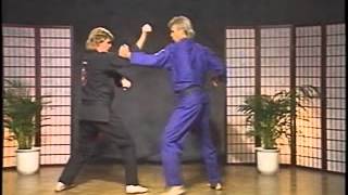 KENPO 03UNFORLING CRANEGMaster Larry Tatum [upl. by Remington815]