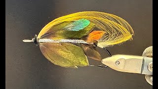 Live fly tying tying the Traherne pattern Bronze pirate with Jonas Andersson [upl. by Nuarb]