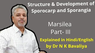 Structure and Development of Sporocarp and Sporangia of Marsilea by Dr N K Bavaliya Principal [upl. by Marlee169]