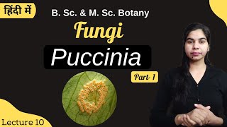 Fungi  Puccinia Part1  in Hindi  Botany  B Sc amp M Sc [upl. by Nyleek]