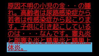 原因不明の小児の金・・の腫れ。高齢者は尿路感染症から若者は性感染症から起こります。子供に引き起こしているのは・・・なんです。睾丸炎と副睾丸炎と精巣炎と精巣上体炎。精巣上体炎 副睾丸炎 [upl. by Eissahc]