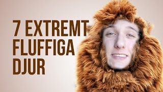 7 EXTREMT FLUFFIGA DJUR [upl. by Romelda]