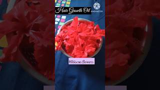 Homemade Hibiscus 🌺 hair oil Hair oil for long hair [upl. by Remark]