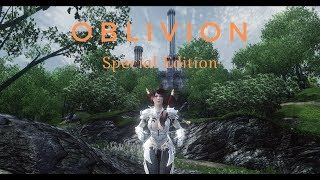 2019 Oblivion EXTREME Graphics  Monkey ENB  1440p [upl. by Nneb]