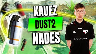 kauez Nades — Dust2 vs Faze — CS2 POV IEM RIO 2024 [upl. by Trudy]