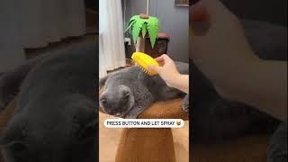 Cat doesnt like taking baths Link in bio and clean and groom it effectively cat kitten cute [upl. by Aneroc635]