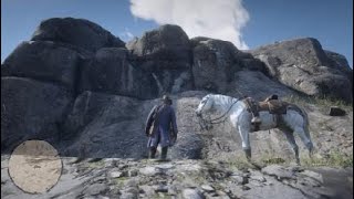 Red Dead Redemption 2  Rock Carving 6 Location  Rock Carving Coordinates 6 [upl. by Roux]