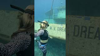 NEW SHIPWRECK 🛥️ dreamchaser mv short shorts video viral barbados hurricane damage boat [upl. by Aicilram]