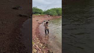 Cat fish catching 😱🐠😱fishingshortvideo short [upl. by Bonaparte]