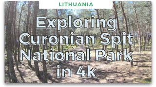 4K Exploring Curonian Spit National Park on foot and on the bike Beautiful spring in UNESCO WHS [upl. by Somar]