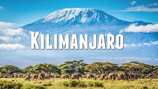 CLIMBING MOUNT KILIMANJARO [upl. by Aliuqahs743]