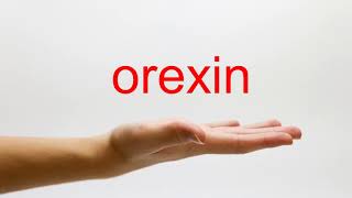 How to Pronounce orexin  American English [upl. by Hallutama694]