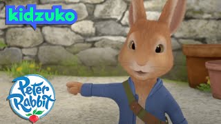 OfficialPeterRabbit  Dont Wake the Cat  Series 1 Adventures for kids  OctonautsandFriends [upl. by Damour]