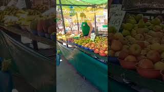 feira petrópolis familia vegetais vidanaroça seescrevanocanal shortvideo viralshorts [upl. by Airda]