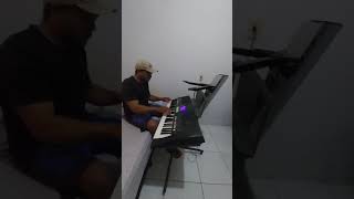 Futricar na moita Donatelli teclado musica [upl. by Namsu167]