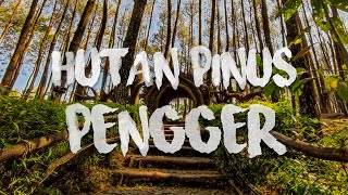 Hutan Pinus Pengger Bantul  2018 [upl. by Lenuahs]