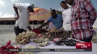 Somalia Jazeera Beach considered to be one of the finest attractions [upl. by Einnos]