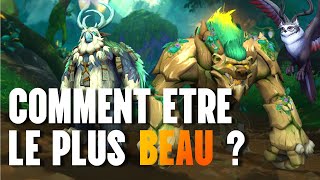 NOUVELLES FORMES DRUIDE  COMMENT LES OBTENIR [upl. by Havstad]