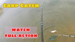 Carp Catch Action  Rawal Dam carpfishing fishing fishinginpakistan commoncarp rawaldamcarp [upl. by Ziom]