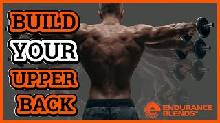 💪 10Minute Upper Back Strength amp Mobility Workout with Dumbbells 🔥 [upl. by Guillema777]