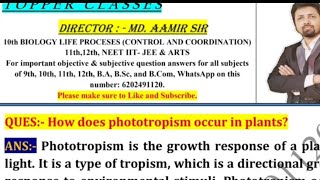 How does phototropism occur in plants [upl. by Sidwohl]