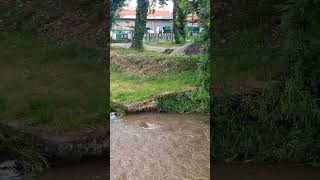 Hochwasser in Thüringen thüringen natur fypage naturwunder Hochwasser fyp [upl. by Ekusoyr851]