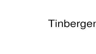 How to pronounce Tinbergen [upl. by Fagan15]